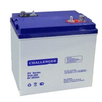 Тяговая аккумуляторная батарея Challenger EV6-205