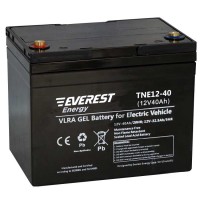 Тяговый аккумулятор Everest TNE 12-40
