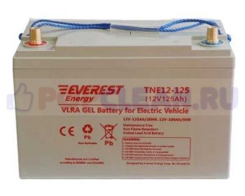 Аккумулятор Everest TNE 12-125 - гелевая аккумуляторная необслуживаемая батарея